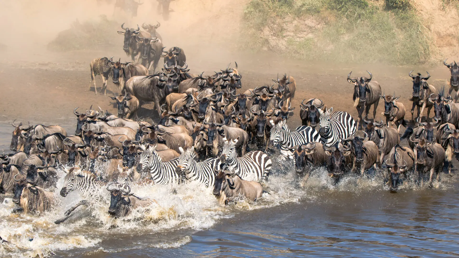The Great Migration Spectacle: A 6-Day Luxury Safari Adventure with Wylda Safaris