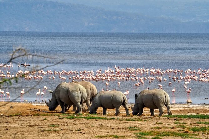 Lake Nakuru