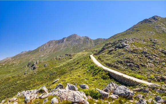 Garden Route Wonders: An 8-Day South Africa Coastal Journey with Wylda Safaris