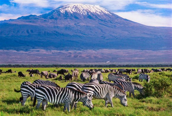Best of East Africa: A 12-Day Multi-Country Odyssey with Wylda Safaris