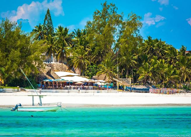 Safari & Indian Ocean: A 7-Day Diani Beach Combo with Wylda Safaris